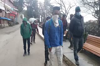 shimla curfew impact