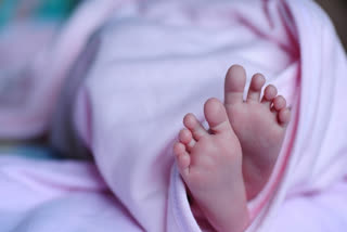 Maharashtra: Infant girl abandoned into bushes recovers, sent to orphanage