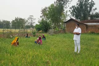 Permission to open seed shop and transport vehicles for farmers in Ambikapur