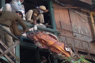 dead body found in house at mandi