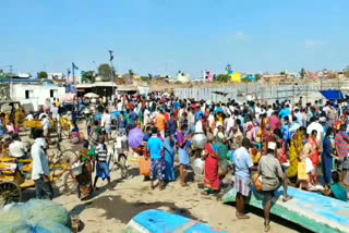 மீன்கள் வாங்க அலைமோதும் மக்கள் கூட்டம்