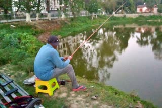 The bureaucrats are busy fishing in the public pond within the lockdown