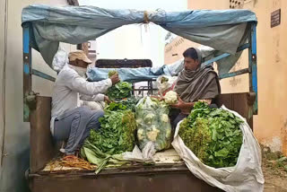 vegetables sold in gohana market