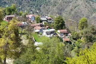 pauri