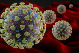 special plan to control coronavirus desease