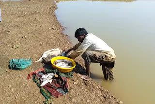 People who have been fishing and making a living are now their daily food