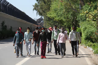 Lockdown  Covid-19 lockdown  Coronavirus  migrants in Gujarat  Bihar migrants  migrant workers held for defying lockdown  migrant workers held for attacking cops