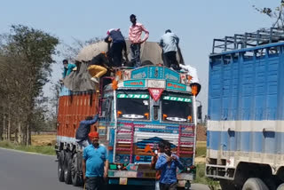 ट्रकों के ऊपर लद कर आ रहे मजदूर