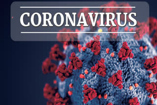 corona virus