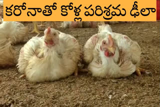 poultry  affected due to corona effect