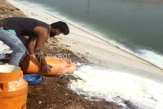 Youths who poured milk in the river