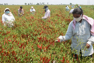 ongole social distanace at work