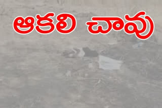 karnataka maigrant died at telengana by walking