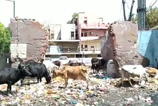 Jahangirpuri metro station garbage disposal problem