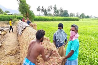 ஊரடங்கால் பெரம்பலூரில் வெங்காய விற்பனை பாதிப்பு