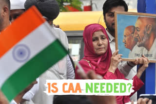 CAA Has Dented Brand India and Domestic Peace: Is It Worth It?