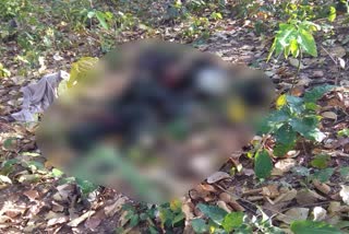 Police and naxalite encounter in Gumla