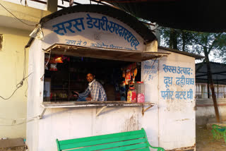 milk dairies in churu, दूध की बिक्री में कमी, चूरू में दूध की बिक्री