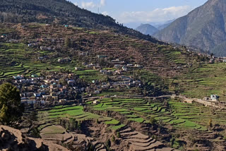 chamoli