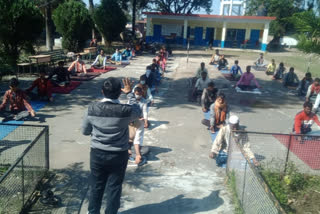 people doing yoga during quarantine in  kangra