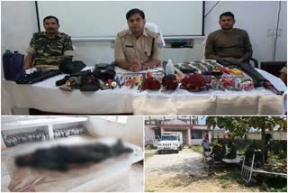 Police Naxalite encounter, arms recovered, encounter in Gumla, SP Anjani Kumar Jha, पुलिस नक्सली मुटभेड़, हथियार बरामद, गुमला में मुठभेड़, एसपी अंजनी कुमार झा