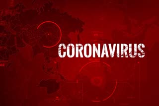 Maintain essential health services during coronavirus pandemic, urges WHO