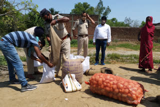 गरीबों के बीच खाद्यान्न सामाग्री का वितरण