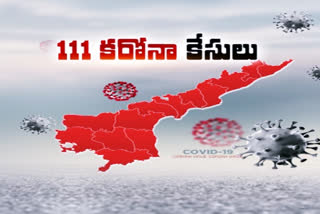 total number of corona cases reached to 111 in ap