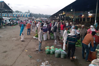 gohana vegetable market