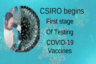 CSIRO, Australia’s national science agency, has commenced the first stage of testing potential vaccines for COVID-19