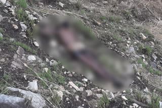 dead body found in hanol village