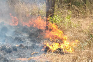 fire  in chikkaballapura forest