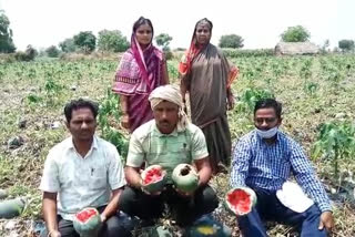 A melon worth millions of rotten