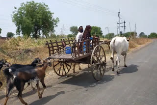 متعلقہ تصویر