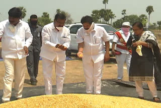 minister Launch of a grain buying center in warangal rural district