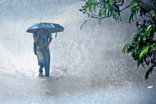 Monsoon 2020 likely to be above normal: Weather Company