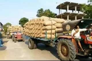 paddy farmers facing problems to shift paddy bags to center