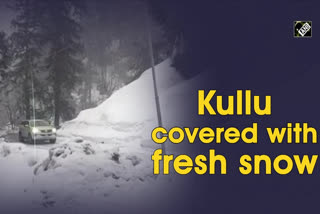 Kullu covered with fresh snow