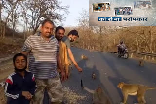 Youth serving in the army of monkeys in Dewas