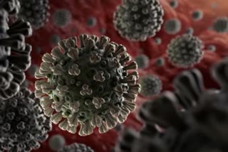 Second death in Himachal due to corona virus