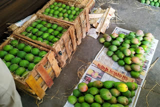 demand to hapus mangoes is reduced