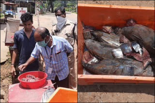 തിരുവനന്തപുരം മടത്തറ കുശവൂർ പഴകിയ മീൻ Stale Fish destroyed