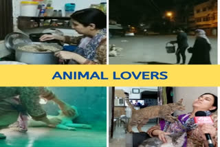 dog lovers in bhopal