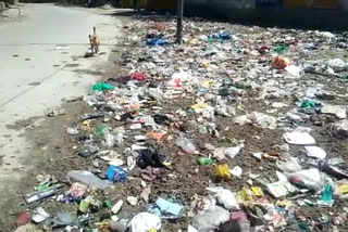 Road leading to Wrestler Sushil's village Baprola welcomes with garbage