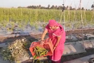 former loss the vegetables price