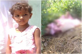 Chatra police, crime in Chatra, child dead body found in Chatra,  चतरा पुलिस, चतरा में अपराध, चतरा में मिला बच्ची का शव