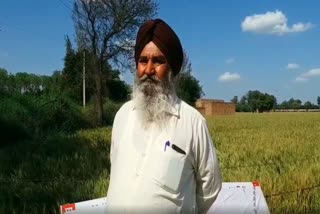 farmer butasingh