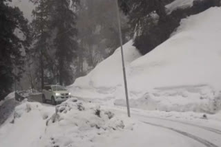 half a feet of snow in Rohtang, रोहतांग में हुई आधा फीट बर्फबारी