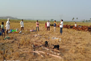 Awarness about corona to farmers and labours in Gangavathi