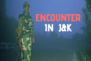 Kulgam  Hardmand Guri  Manzgam  Encounter  Jammu Kashmir  Security Forces  Police  Terrorists  Gunfight  ஜம்மு காஷ்மீரில் பயங்கரவாதிகள் மூவர் சுட்டுக் கொலை!  பயங்கரவாதிகள் சுட்டுக் கொலை  ஜம்மு காஷ்மீரில் துப்பாக்கிச் சூடு